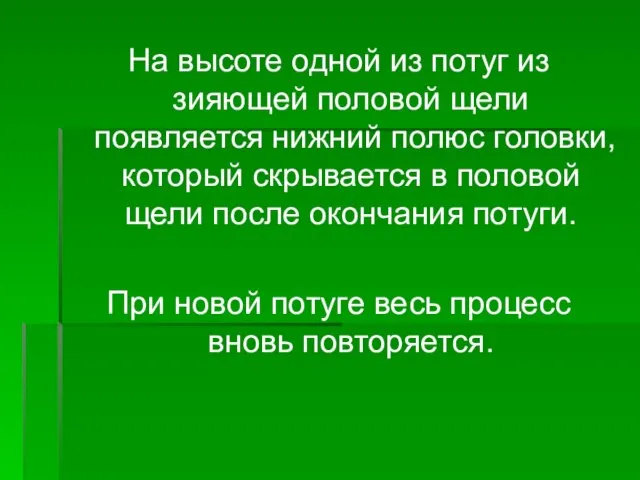 На высоте одной из потуг из зияющей половой щели появляется нижний полюс