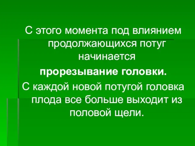 С этого момента под влиянием продолжающихся потуг начинается прорезывание головки. С каждой