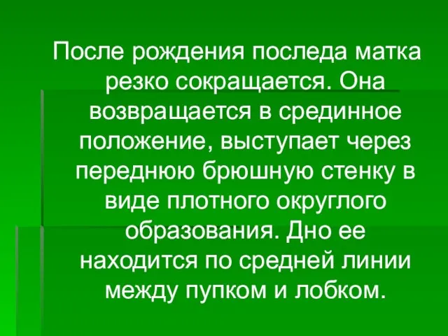 После рождения последа матка резко сокращается. Она возвращается в срединное положение, выступает