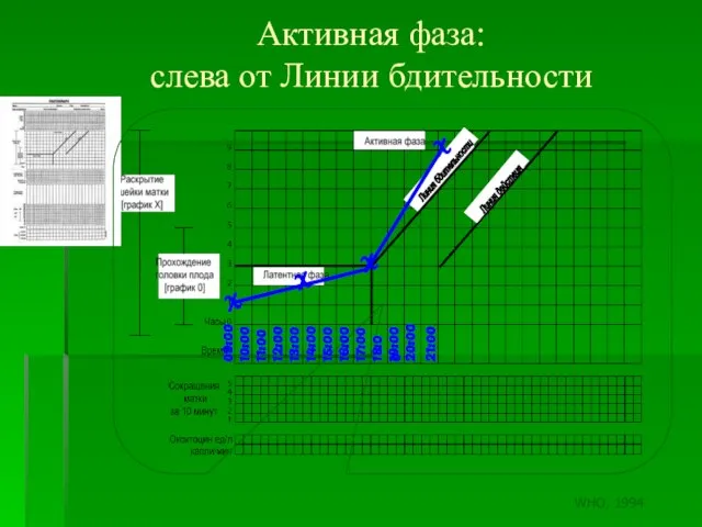 Активная фаза: слева от Линии бдительности 09:00 10:00 11:00 12:00 13:00 14:00