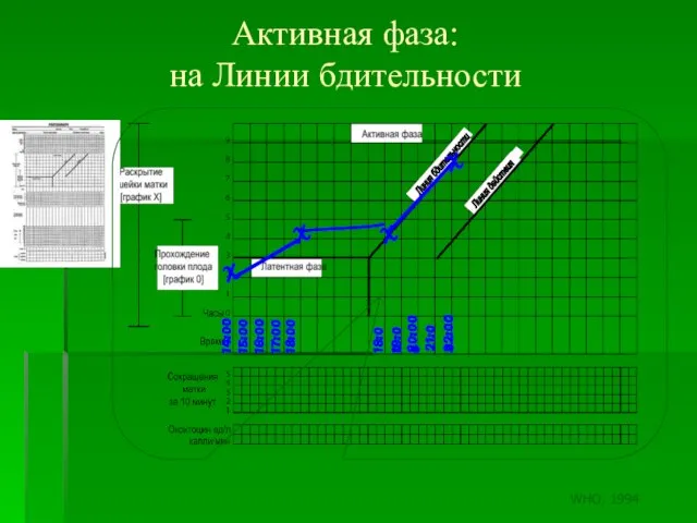 Активная фаза: на Линии бдительности 14:00 15:00 16:00 17:00 18:00 X X