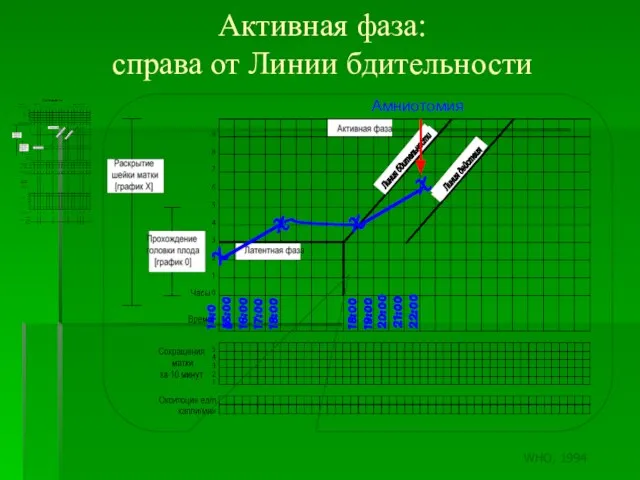 Активная фаза: справа от Линии бдительности X 14:00 X X X 15:00