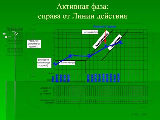 Активная фаза: справа от Линии действия X 14:00 X X X 15:00