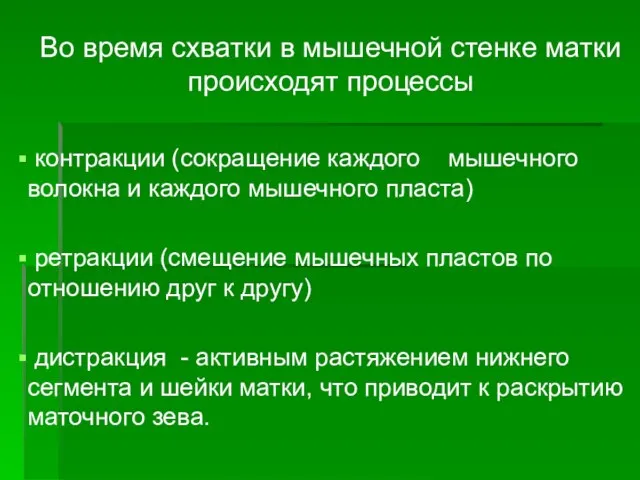 Во время схватки в мышечной стенке матки происходят процессы контракции (сокращение каждого