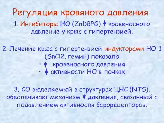 Регуляция кровяного давления