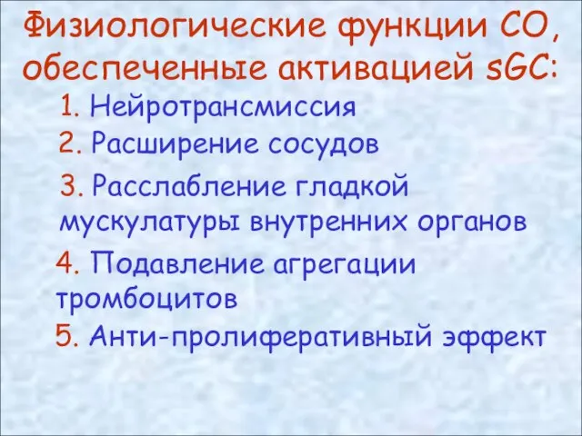 Физиологические функции СО, обеспеченные активацией sGC: 1. Нейротрансмиссия 2. Расширение сосудов 4.