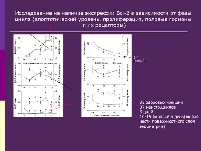 6.4 нмоль/л Исследование на наличие экспрессии Bcl-2 в зависимости от фазы цикла