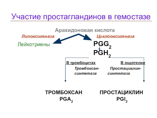 Участие простагландинов в гемостазе Арахидоновая кислота Липоксигеназа Циклооксигеназа Лейкотриены PGG2 PGH2 В