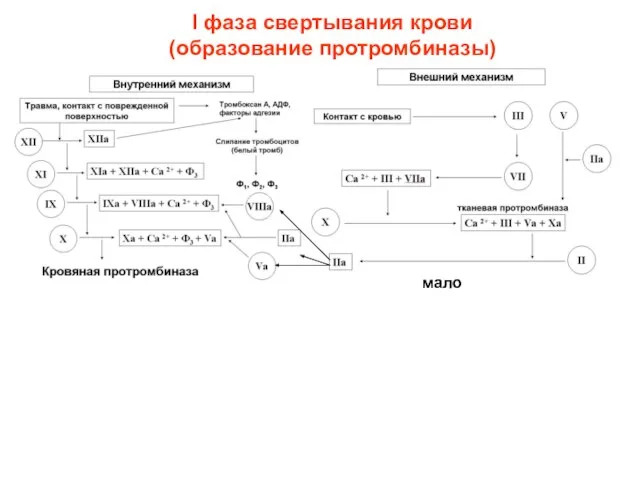 мало I фаза свертывания крови (образование протромбиназы)