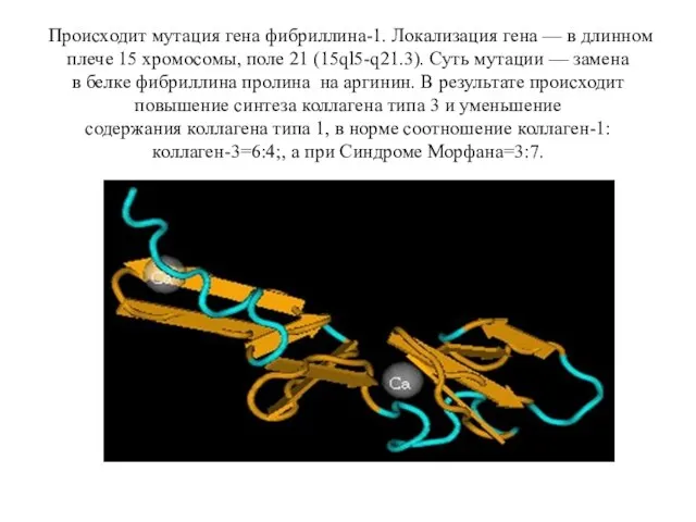 Происходит мутация гена фибриллина-1. Локализация гена — в длинном плече 15 хромосомы,