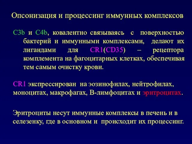 Опсонизация и процессинг иммунных комплексов С3b и С4b, ковалентно связываясь с поверхностью