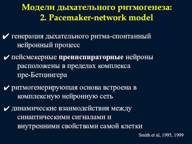 Модели дыхательного ритмогенеза: 2. Pacemaker-network model генерация дыхательного ритма-спонтанный нейронный процесс пейсмекерные