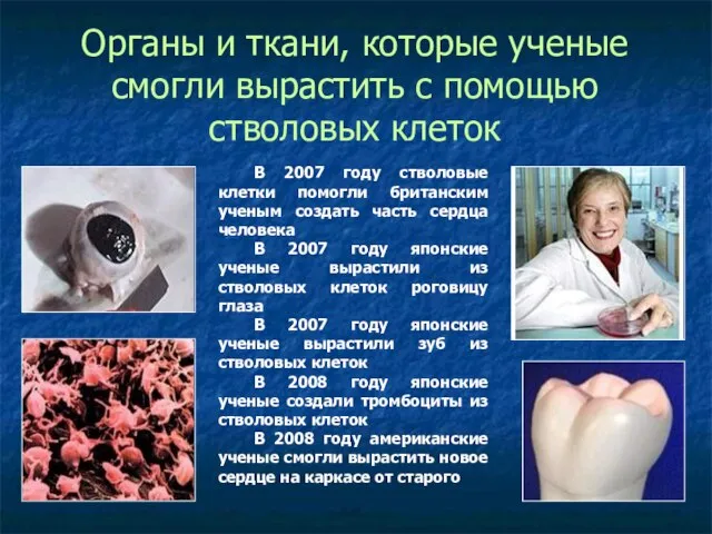 В 2007 году стволовые клетки помогли британским ученым создать часть сердца человека