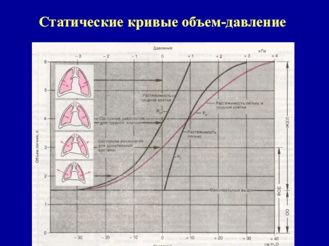 Статические кривые объем-давление