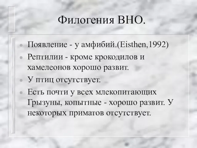 Филогения ВНО. Появление - у амфибий.(Eisthen,1992) Рептилии - кроме крокодилов и хамелеонов