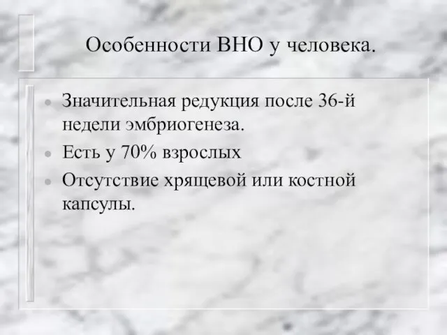 Особенности ВНО у человека. Значительная редукция после 36-й недели эмбриогенеза. Есть у