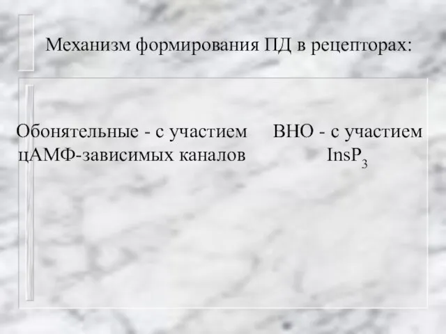 Механизм формирования ПД в рецепторах: Обонятельные - с участием цАМФ-зависимых каналов ВНО - с участием InsP3