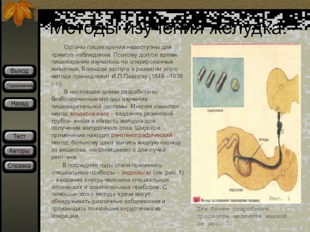 Методы изучения желудка. Органы пищеварения недоступны для прямого наблюдения. Поэтому долгое время