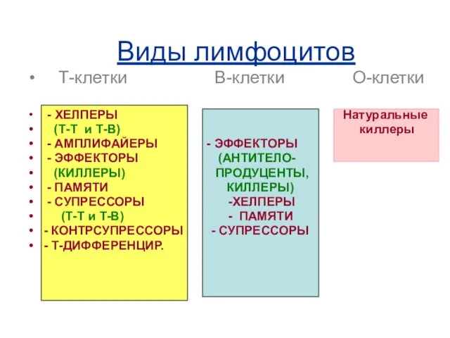 Виды лимфоцитов Т-клетки В-клетки О-клетки - ХЕЛПЕРЫ Натуральные (Т-Т и Т-В) киллеры