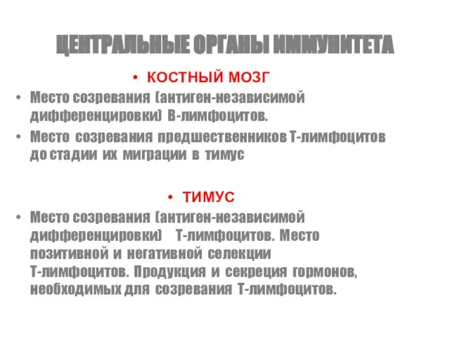 ЦЕНТРАЛЬНЫЕ ОРГАНЫ ИММУНИТЕТА КОСТНЫЙ МОЗГ Место созревания (антиген-независимой дифференцировки) В-лимфоцитов. Место созревания