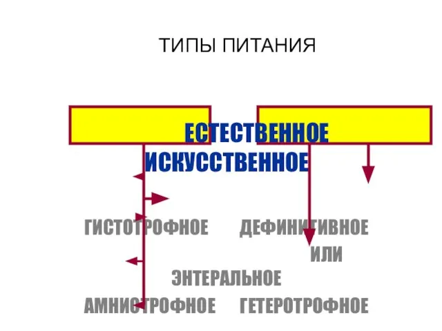 ЕСТЕСТВЕННОЕ ИСКУССТВЕННОЕ ГИСТОТРОФНОЕ ДЕФИНИТИВНОЕ ИЛИ ЭНТЕРАЛЬНОЕ АМНИОТРОФНОЕ ГЕТЕРОТРОФНОЕ ГЕМОТРОФНОЕ ПАРЭНТЕРАЛЬНОЕ ЛАКТОТРОФНОЕ ТИПЫ ПИТАНИЯ