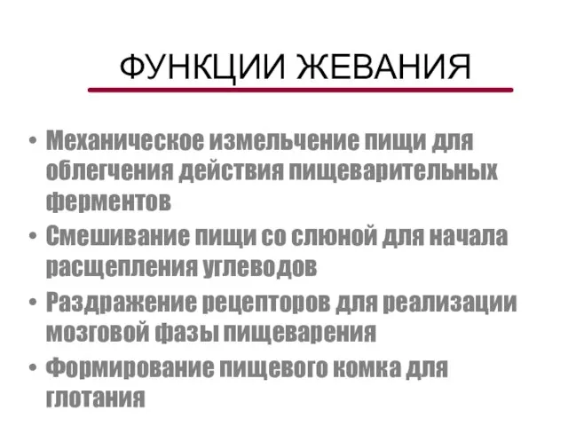 ФУНКЦИИ ЖЕВАНИЯ Механическое измельчение пищи для облегчения действия пищеварительных ферментов Смешивание пищи