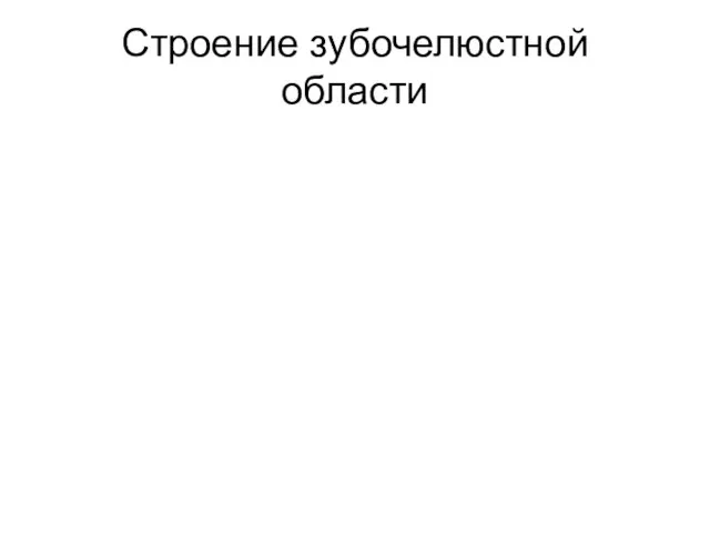 Строение зубочелюстной области