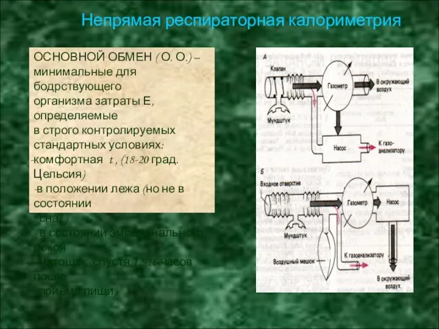 ОСНОВНОЙ ОБМЕН ( О. О.) – минимальные для бодрствующего организма затраты Е,