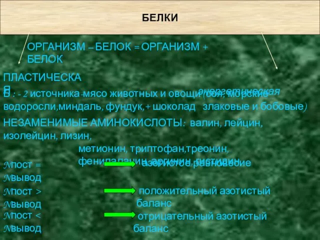 БЕЛКИ ОРГАНИЗМ – БЕЛОК = ОРГАНИЗМ + БЕЛОК энергетическая НЕЗАМЕНИМЫЕ АМИНОКИСЛОТЫ: валин,