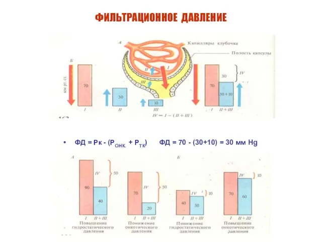 ФИЛЬТРАЦИОННОЕ ДАВЛЕНИЕ ФД = Рк - (РОНК. + РТК) ФД = 70