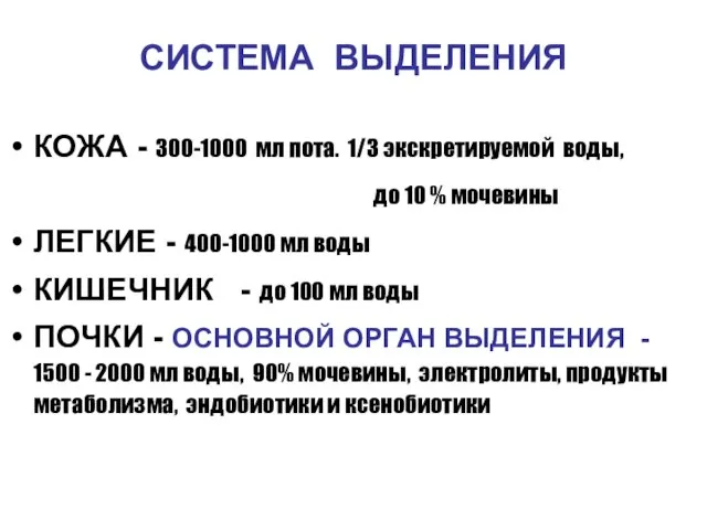 СИСТЕМА ВЫДЕЛЕНИЯ КОЖА - 300-1000 мл пота. 1/3 экскретируемой воды, до 10