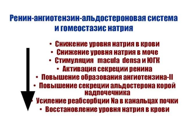 Ренин-ангиотензин-альдостероновая система и гомеостазис натрия Снижение уровня натрия в крови Снижение уровня