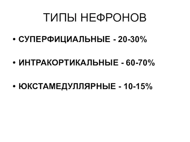 ТИПЫ НЕФРОНОВ СУПЕРФИЦИАЛЬНЫЕ - 20-30% ИНТРАКОРТИКАЛЬНЫЕ - 60-70% ЮКСТАМЕДУЛЛЯРНЫЕ - 10-15%