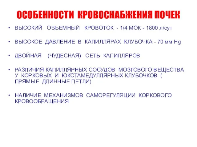 ОСОБЕННОСТИ КРОВОСНАБЖЕНИЯ ПОЧЕК ВЫСОКИЙ ОБЪЕМНЫЙ КРОВОТОК - 1/4 МОК - 1800 л/cут