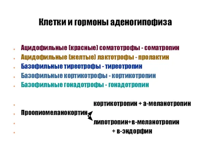 Клетки и гормоны аденогипофиза Ацидофильные (красные) соматотрофы - соматропин Ацидофильные (желтые) лактотрофы