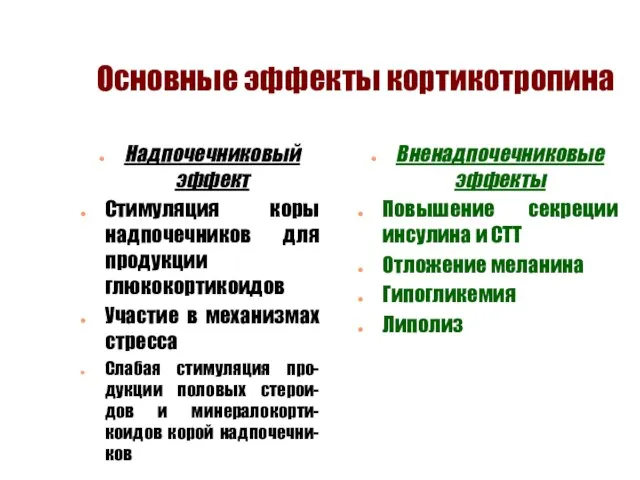 Основные эффекты кортикотропина Надпочечниковый эффект Стимуляция коры надпочечников для продукции глюкокортикоидов Участие