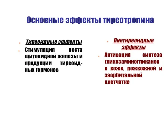 Основные эффекты тиреотропина Тиреоидные эффекты Стимуляция роста щитовидной железы и продукции тиреоид-ных