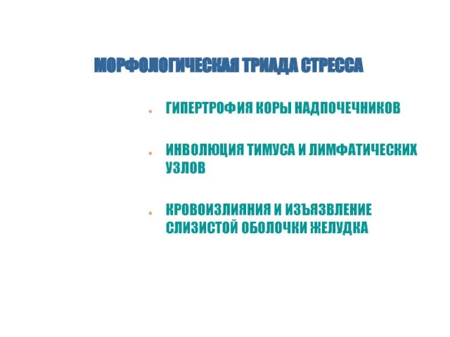 МОРФОЛОГИЧЕСКАЯ ТРИАДА СТРЕССА ГИПЕРТРОФИЯ КОРЫ НАДПОЧЕЧНИКОВ ИНВОЛЮЦИЯ ТИМУСА И ЛИМФАТИЧЕСКИХ УЗЛОВ КРОВОИЗЛИЯНИЯ