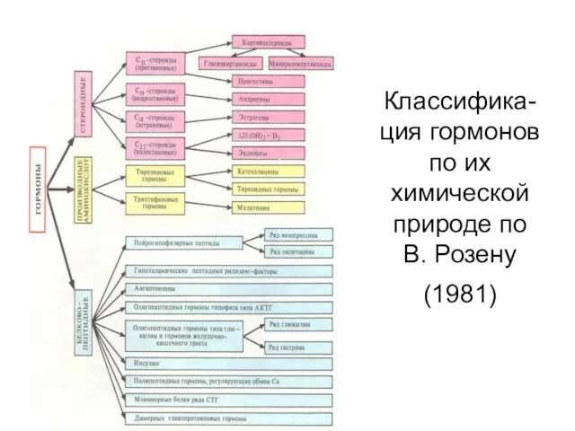 Классифика-ция гормонов по их химической природе по В. Розену (1981)