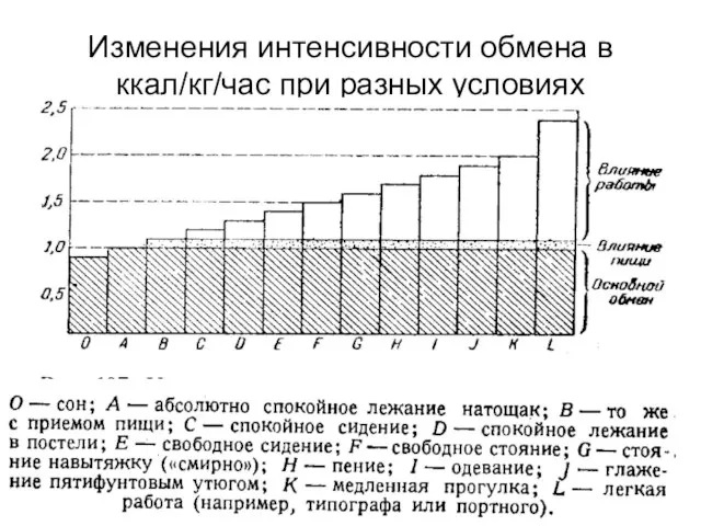 Изменения интенсивности обмена в ккал/кг/час при разных условиях