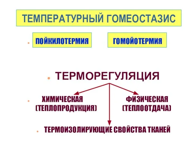 ТЕМПЕРАТУРНЫЙ ГОМЕОСТАЗИС ПОЙКИЛОТЕРМИЯ ГОМОЙОТЕРМИЯ ТЕРМОРЕГУЛЯЦИЯ ХИМИЧЕСКАЯ ФИЗИЧЕСКАЯ (ТЕПЛОПРОДУКЦИЯ) (ТЕПЛООТДАЧА) ТЕРМОИЗОЛИРУЮЩИЕ СВОЙСТВА ТКАНЕЙ