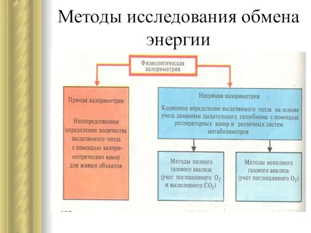 Методы исследования обмена энергии