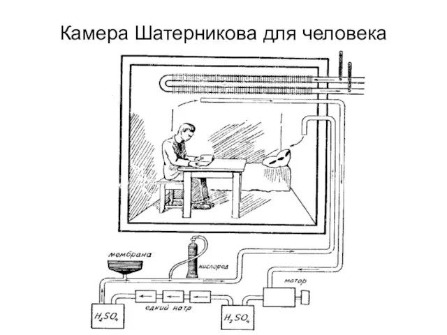 Камера Шатерникова для человека