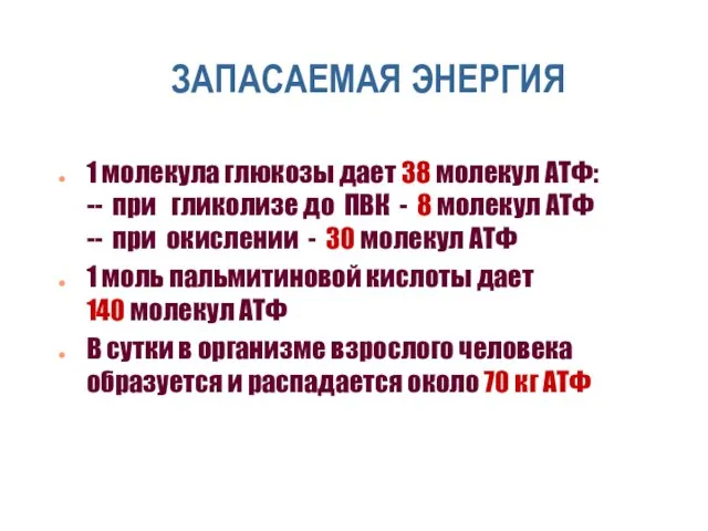 ЗАПАСАЕМАЯ ЭНЕРГИЯ 1 молекула глюкозы дает 38 молекул АТФ: -- при гликолизе