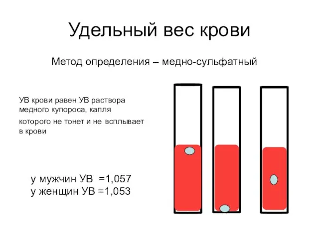 Удельный вес крови Метод определения – медно-сульфатный УВ крови равен УВ раствора