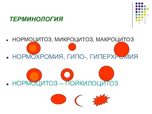 ТЕРМИНОЛОГИЯ НОРМОЦИТОЗ, МИКРОЦИТОЗ, МАКРОЦИТОЗ НОРМОХРОМИЯ, ГИПО-, ГИПЕРХРОМИЯ НОРМОЦИТОЗ -- ПОЙКИЛОЦИТОЗ