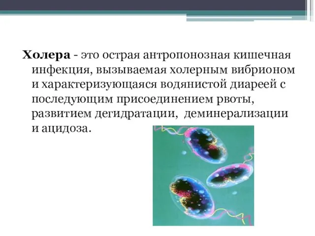 Холера - это острая антропонозная кишечная инфекция, вызываемая холерным вибрионом и характеризующаяся