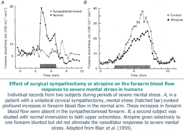 Effect of surgical sympathectomy or atropine on the forearm blood flow response