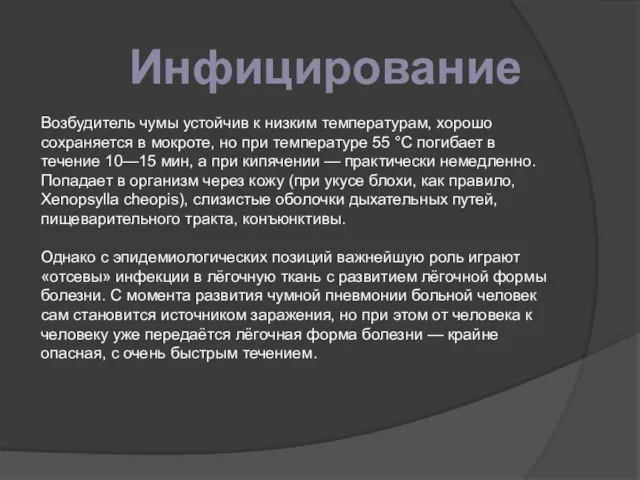 Инфицирование Возбудитель чумы устойчив к низким температурам, хорошо сохраняется в мокроте, но