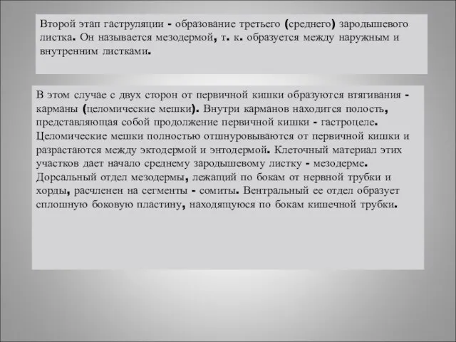 Второй этап гаструляции - образование третьего (среднего) зародышевого листка. Он называется мезодермой,